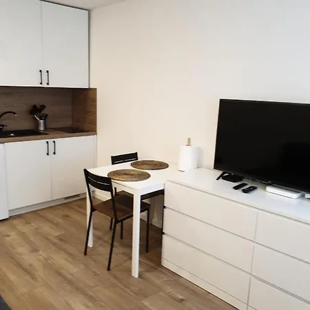 Studio Rent In Zarasai Exterior photo