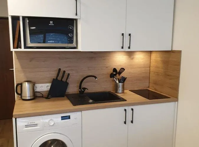 Studio Rent In Zarasai