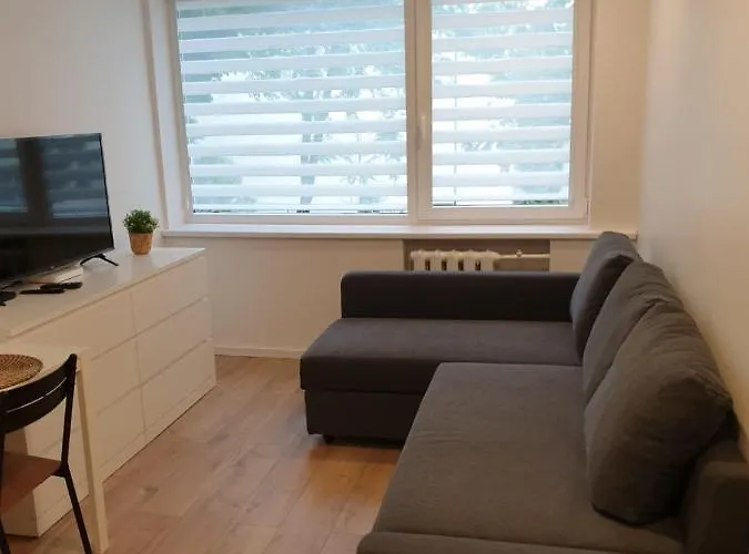 Studio Rent In Zarasai